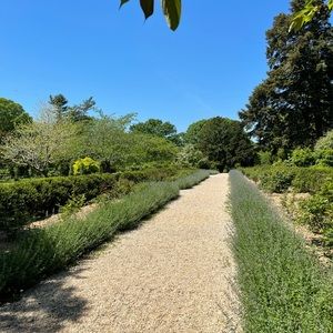 Meet your Posher, Sally